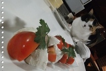 もうちょっとはなれて・・・