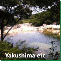 屋久島のイベントやお店の出来事
