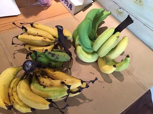 banana.jpg