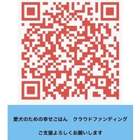 QR.jpgのサムネール画像